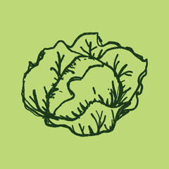 Doodle elements of fruit and vegetable, specifically a Cabbage