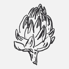 Doodle elements of fruit and vegetable, specifically a Artichoke