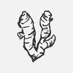 Doodle elements of fruit and vegetable, specifically a Ginger