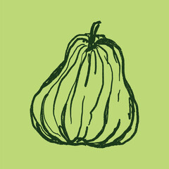 Doodle elements of fruit and vegetable, specifically a Pumpkin