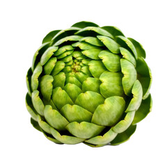 Fototapeta premium artichoke with transparent background PNG and JPEG image