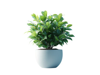 A small potted plant sits in a white ceramic bowl