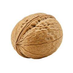 Obraz premium Butternut white walnut in shell, 3/4 view, standalone full object on a transparent background with clear contours and no shadows, lifelike accuracy, concept for food advertising