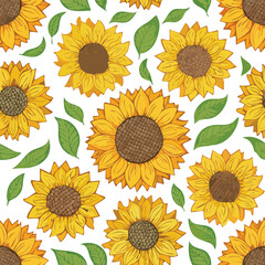 Sunflower Vector Illustration with Seamless Pattern Design