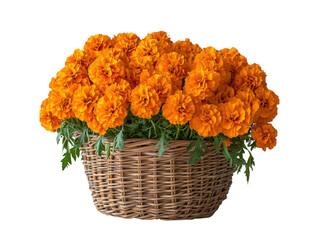 A basket full of orange flowers