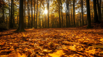 Golden autumn leaves scattered beautifully on the forest floor