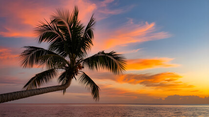 Fototapeta na wymiar Tropical palm tree silhouetted against colorful sunset sky 