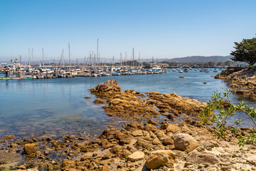Monterey Bay Marina with Sailing Boats on a Sunny Day