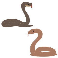 Fototapeta premium black swan vector illustration