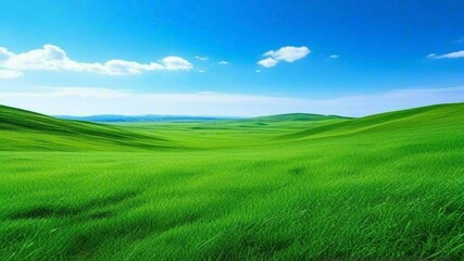 Obraz premium grass, sky, field