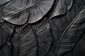 Dark monochrome textured monstera leaf background