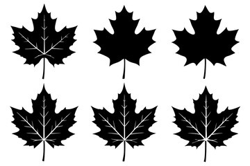 set of maple leaves silhouette vector