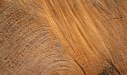 Close-up of a wooden surface showing natural grain patterns and textures. The wood has a warm brown color with visible rings and lines.