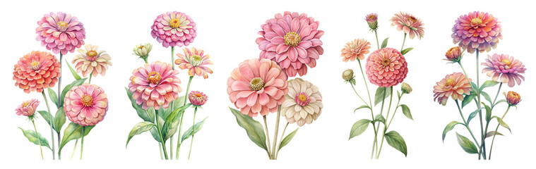 Watercolor Zinnia Flowers Set Png, Vibrant Summer Flower Zinnia Garden Bloom Clipart