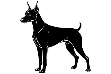 Obraz premium Standing doberman pinscher silhouette vector illustration