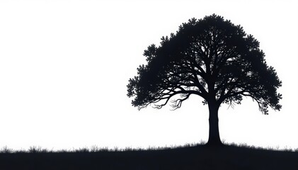 Obraz premium Stark black tree silhouette against bright white background, dramatic shadows , photography, dark