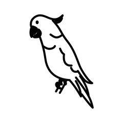 minimalist icon vector illustration of cockatoo bird or burung kakaktua in doodle artline style. high resolution perfect for symbol, logo, design element, sticker,  or poster