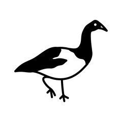 minimalist icon vector illustration of magpie goose in doodle artline style. high resolutionwith transparent background perfect for symbol, logo, design element, sticker,  or poster