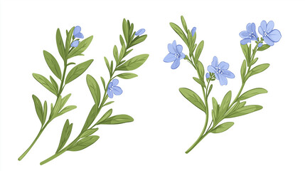 Fototapeta premium Beautiful digital illustration of delicate blue flowers and green leaves isolated on white