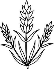 Lavender flower outline illustration coloring book page design line art