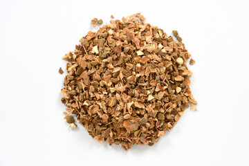 Toque Macaque Monkey Sitting on Tree Branch in Tropical Forest. Wildlife Photography from Sri Lanka