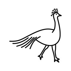 minimalist icon vector illustration of albino peacock or merak in doodle artline style. high resolution and editable perfect for symbol, logo, design element, sticker,  or poster