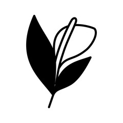 Obraz premium minimalist icon vector illustration of peace lily wild flower in doodle artline style. high resolution with transparent background perfect for symbol, logo, design element, sticker, or poster