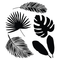 Tropical Leaf Silhouette Vector Set. Monstera, Palm, Banana Leaves Clipart.