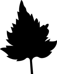 Fall leaves icon in flat style. isolated on transparent background