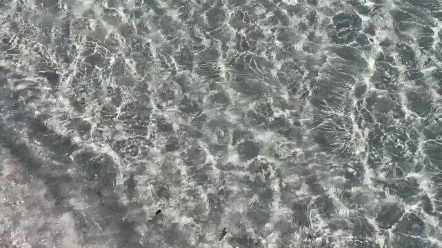 Pure and clear turquoise water of the Sardinian sea at Berchida beach south of Siniscola, in the Baronie territory on the east coast of the island of Sardinia, Italy