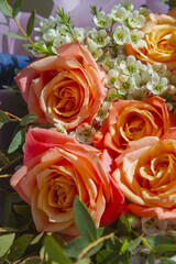 A close-up of rose flower.	