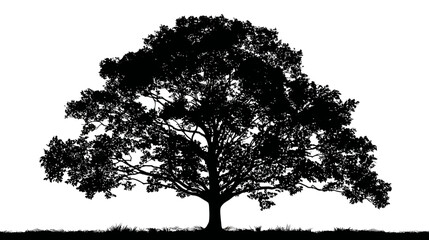 Tree outline simple black silhouette vector isolated on white background  -  