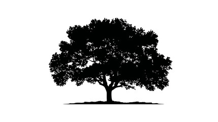 Fototapeta premium Tree symbol concept simple black silhouette vector isolated on white background - 