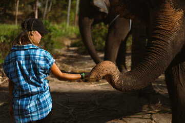 Young woman touching elephant’s face in outdoor nature setting