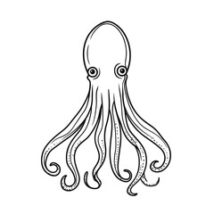 Line art illustration of a squid with detailed tentacles  