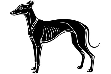Obraz premium Elegant greyhound dog in silhouette vector illustration