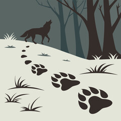 Wolf howling in the forest with paw prints