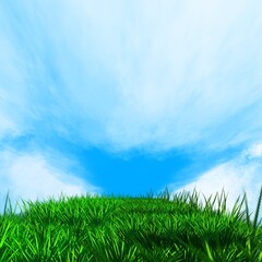 green grass and blue sky illustration 