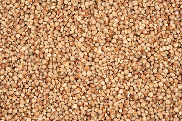 closeup coarse grind red sorghum grain food background texture