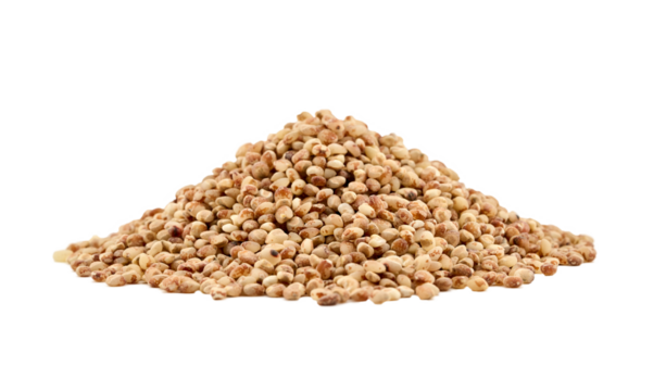 closeup pile of coarse grind red sorghum grain cutout