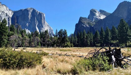 Ruined Yosemite National Park Landscape Showcases Natural Beauty Loss