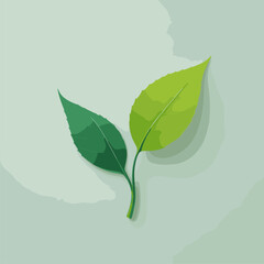 Two Green Leaves on a Soft Green Background - Nature Illustration