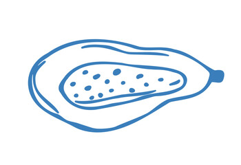 Hand drawn blue papaya in doodle style. Mediterranean summer icon, element for italian menu, wedding, print, invitation. Ink sketch design of summer beach. Flat tropical minimalist vector illustration