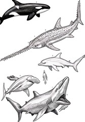 鉛筆の深海：海の巨獣たち