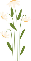 Spring Flower Illustration