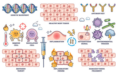 Autoimmune diseases are illustrated with immune cells, inflammation, and damaged tissue, highlighting immune system dysfunction, transparent background. Outline style collection
