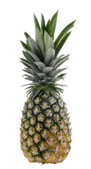 Fototapeta premium Big pineapple isolated on a transparent background