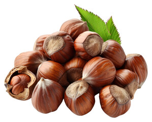 Fototapeta premium PNG Fresh hazelnuts with green leaf