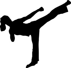 Silhouette of a woman doing karate