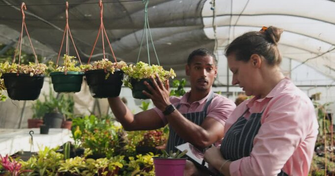 Diverse gardeners in greenhouse examining plants and discussing growth using digital tablet